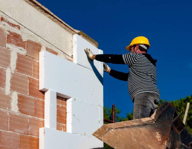 Best Attic Insulation Installation  in Vega, TX