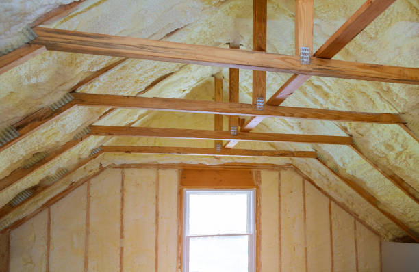 Best Wall Insulation Contractor  in Vega, TX