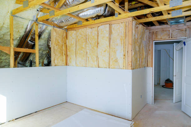 Best Attic Insulation Installation  in Vega, TX
