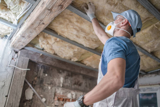 Best Home Insulation Services  in Vega, TX