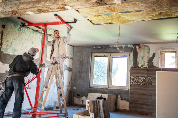 Best Home Insulation Services  in Vega, TX