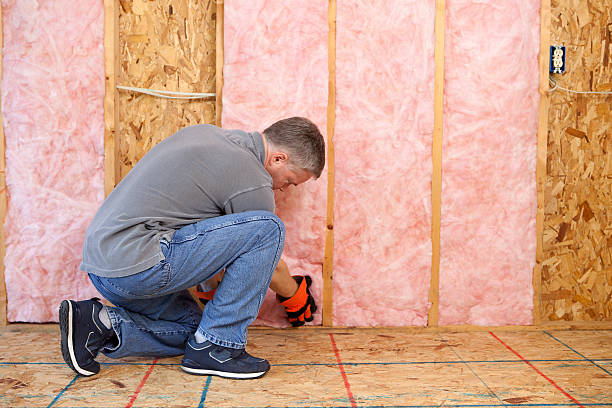 Best Local Insulation Services  in Vega, TX